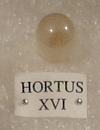 HORTUS XVI