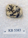 KB 5383