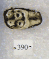 KNM-CA 390