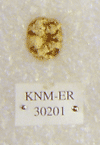 KNM-ER 30201