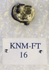 KNM-FT 16