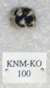 KNM-KO 100