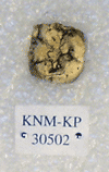 KNM-KP 30502E