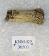 KNM-KP 30503