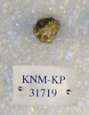 KNM-KP 31719