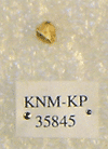 KNM-KP 35845