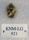 KNM-LG 921