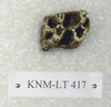 KNM-LT 417