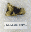 KNM-OG 1219