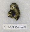 KNM-OG 1225
