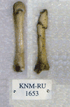 KNM-RU 1653