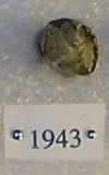 KNM-SO 1943