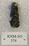 KNM-SO 374