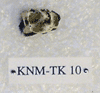 KNM-TK 10