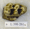 L 398-261