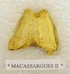 MACASSARGUES II