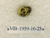 MB 1939-16-23