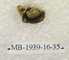 MB 1939-16-35
