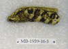 MB 1939-16-3