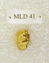 MLD 41