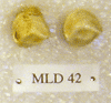 MLD 42
