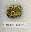 MNHNP-TER A