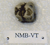 NMB-VT