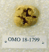 OMO 18-1799