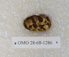 OMO 28-68-1286