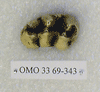 OMO 33-69-343