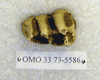 OMO 33-73-5586