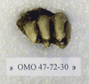 OMO 47-72-30