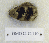 OMO 84-C 110