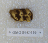 OMO 84-C 116