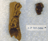 P 707-2494