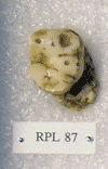 RPL 87