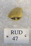RUD 47
