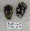 SAG-VP-7-103