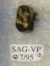 SAG-VP-7-95