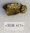 SGR 417