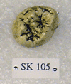 SK 105