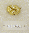 SK 14001