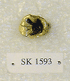 SK 1593