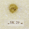SK 29