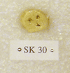 SK 30