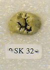 SK 32