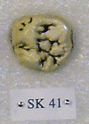 SK 41