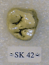SK 42