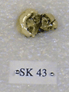 SK 43