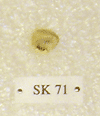 SK 71
